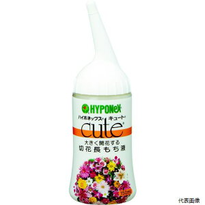 nC|lbNX H016418 ؉Ԋ L[g؉Ԓt