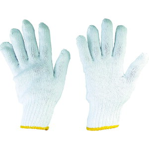 yX^v[zۘaP~J 127 R(a) {`[bvR zCg t[TCY 12o