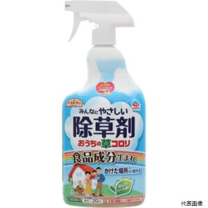 yX^v[zA[X 290816 A[X  K[f̑RXv[1000ml