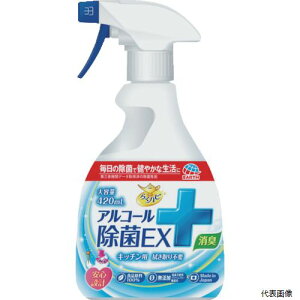 yX^v[zA[X 629715 A[X 炭ns AR[EX 420ml