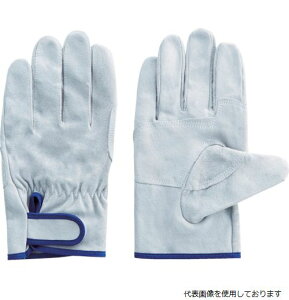 yX^v[zxmO[u5973EX-500L؏CW[