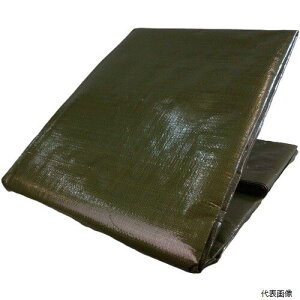 yX^v[z OGS-405 ^JCN #4000 ODO[V[g 2.7m×3.6m