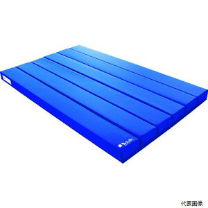 (������s��) �}���C�` 4589786051148 ���[���}�b�g 10A-6W M�u���[