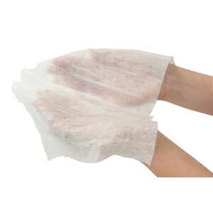 yX^v[zA[ebN CybNX z^eۃAR[EFbgV[g2030g (051390) yۗpiz