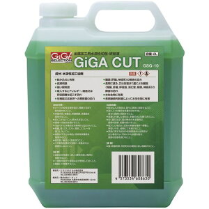 yX^v[zGIGA MKEZNV Hpn؍Et GIGA CUT MKJbg GSG-10 (2L)