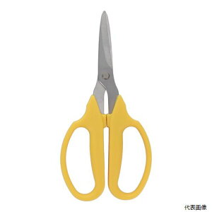 sita TrɋXeXn }MUn A007 sk331007 OR[|[V