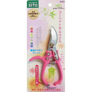 sita RpNg A925 sk905025 OR[|[V