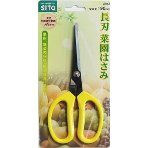 sita n؉ A042 sk905042 OR[|[V