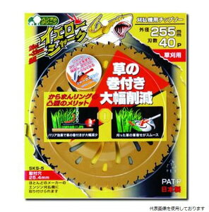 Oz CG[V[N 230×36 0396