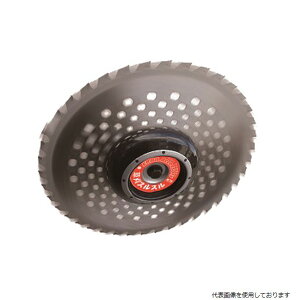 Oz XXn[h^Cv @p @pA^b`g 0850