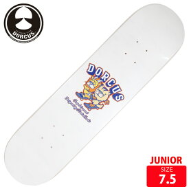 ドーカス ジュニア用 デッキ DORCUS DECK TEAM CHIMERA X ZETT WHITE 7.5 スケートボード スケボー SKATEBOARD 23FW
