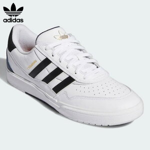 ADIDAS AfB_X SB Xj[J[ ^CV[2 Tyshawn XP[gV[Y XPV[ C XP[g{[h IF9710