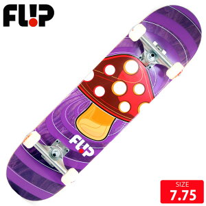 �X�P�{�[ �t���b�v �R���v���[�g FLIP POP SHROOM PURPLE DECK 7.75 �����i skateboard �X�P�{�[ �X�P�[�g�{�[�h