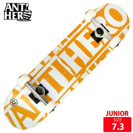 ジュニア スケボー コンプリート アンチヒーロー ANTI HERO BLACK HERO DECK 7.3 完成品 スケートボード【クエストン】