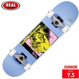 �X�P�{�[ �W���j�A �R���v���[�g ���A�� REAL COMPLETE OBEDIENCE DENIED SIZE 7.5 �����i �X�P�[�g�{�[�h SKATEBOARD 25SM