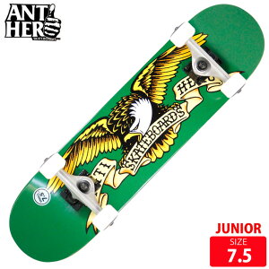 �X�P�{�[ �W���j�A �R���v���[�g �A���`�q�[���[ ANTI HERO CLASSIC EAGLE SIZE 7.5 �����i �X�P�[�g�{�[�h 25SM