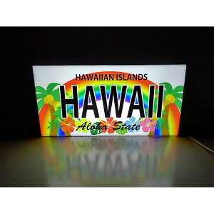 yLED2wayfUCCgzHAWAII HAWAII ISLANDS nC nC nCA BEACH C o[ An V̖ T}[  썑 Ŕ CeA G uSTCY-6