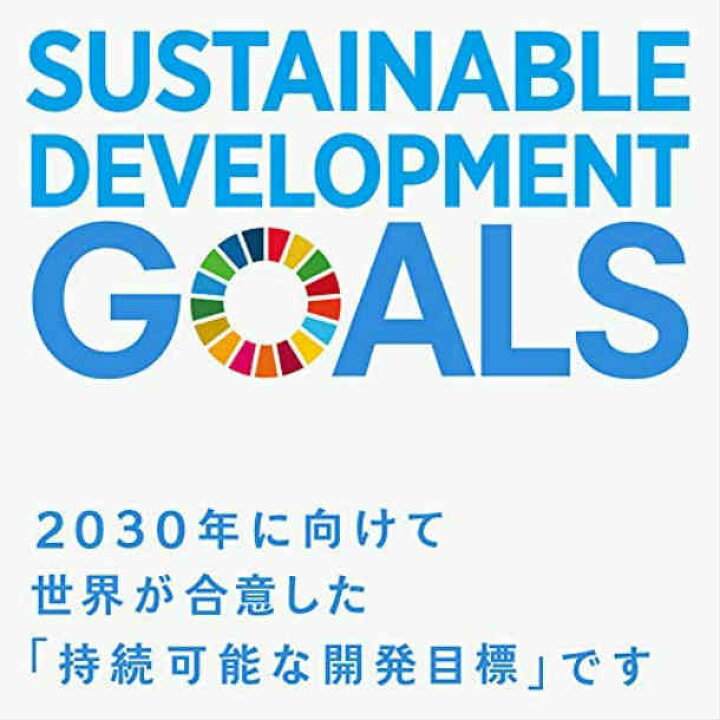 楽天市場】【正規販売店】 【国連本部限定販売】 SDGs ピンバッジ 日本 