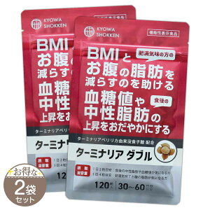 y 2܃Zbg z ^[~iA _u 26.4g ( 220mg × 120 ) aH _CGbg _CGbgTv BMI ̎b l b ̏d 얞  b ^[~iAxJ m@\\