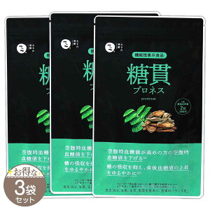 y 3܃Zbg z уvlX 15g ( 250mg × 60 ) 30 ݂Ȃ픭y Tvg Tv l 󕠎l H㌌l TVA GLX oiot TVm[ AR m@\