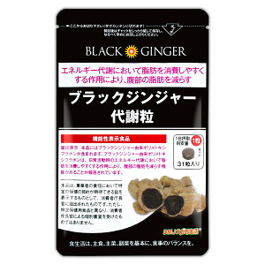 ubNWW[ӗ 31 i1j 9.3g DMJ _CGbg Ȃ  b 傤 I N Tvg m@\\Hin [֑SPL / WW