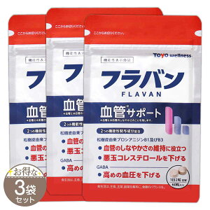 y 3܃Zbg z to ǃT|[g 15g ( 250mg × 60 ) 30 mEFlX Tv Tvg toWFm[   ጌ  RXe[  GX` GABA Mo 