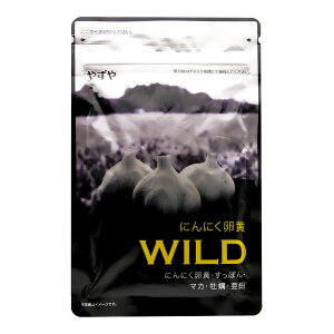 ₸ ɂɂWILD 62 Tvg }J  ɂɂ { X^~i ~l [֑SPL / ɂɂWILDS04-03 / YZNRNB-01P