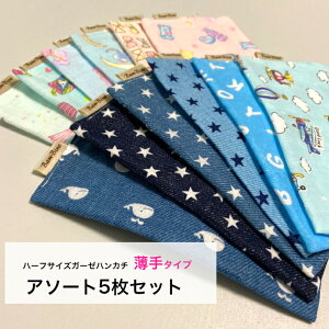 n[tTCYK[[nJ`A\[g5Zbg  Ԃ xr[ LbY c q { j̎q ̎q ܂ |Pbg ct ۈ牀 wZ @  H