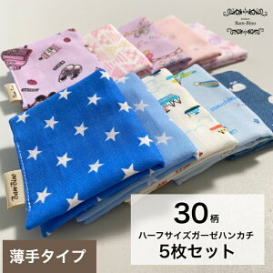 n[tTCYK[[nJ`5Zbg  n[tTCY K[[nJ` ~j ~jnJ` Ԃ xr[ LbY c q { j̎q ̎q ܂   蕨 |Pbg 30