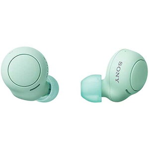 \j[(SONY) SCXCz WF-C500 : /yʏ^5.4g/xʘbi/ȒPyAO/IPX4hH\/ACXO[ WF-C500 GZ