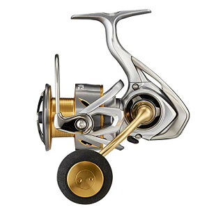 _C(DAIWA) 21 t[X LT5000-CXH