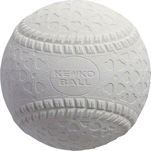 iKZPR[(KENKO)  싅 {[ F M (ʁE wp) 1_[X MD