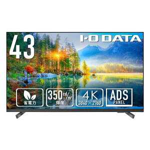 IODATA ���j�^�[ 43�C���` 4K UHD ADS�p�l�� �L���� 350cd/m2 18���ԘA���ғ� �T�C�l�[�W ��c�� �t���[�����X (HDMI×3/D-sub9�s��/�X�s�[�J�[�t/�����R���t/���{���[�J�[) EX-U431DX