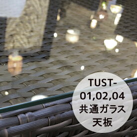 強化ガラス TUST-01/02/04用共通ガラス天板