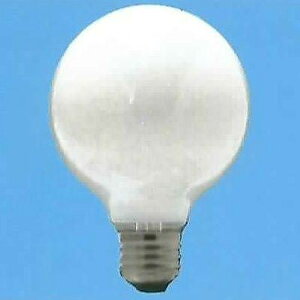 �z���C�g�{�[���@G95�@�z���C�g�@E26�@GW100V38W95