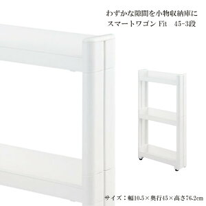 X}[gSFit W100 45-3i W  Lb` X ʏ   Tj^[ I XgbJ[ [ bN [ bN