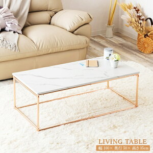 Z^[e[u [e[u 100cm rOe[u  Ζڕ k }[u [sA X`[ m  嗝Ε zCgn ЂƂ炵 [bp AeB[