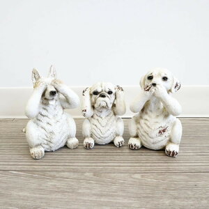   u 3Zbg fBXvC  킢 CeA IuWF CeAG AeB[N I[ig  K[f Mtg 蕨 v[g 