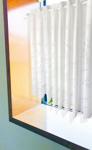 UVJbg JtFJ[e TT  Ăh~ Ԏd؂ k  ډB Vv _ a m Q Vv _