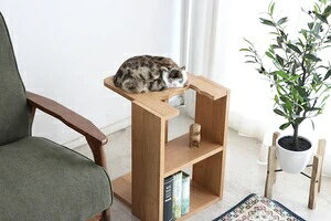 ΂ɂ TChe[u ؐ { i`  ؖ L^ ˂ Lbg 킢 \t@TCh xbhTCh iCge[u Tue[u q l炵 Y