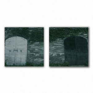 �`�`�V�̃t�@�u���b�N�p�l���Z�b�g M�T�C�Y�i30cm×30cm�j �E�H�[���A�[�g �Ǌ|�� ������� �k�� ���_�� �V�z�j�� �J�X�j�� �����j�� ������ ���� �Q�� ���r���O ���ڎ�