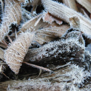 iʐ^̃t@ubNpl MTCYi30cm×30cmj EH[A[g Ǌ|  k _ ڎ Vzj j JXj Q  rO 