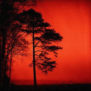 ؂̃VGbg̃A[gpl MTCYi30cm×30cmj EH[A[g Ǌ|  k _ Vzj JXj j   Q rO ڎ