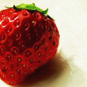 C`S̃t@ubNpl LTCYi57cm×57cmj EH[A[g Ǌ|  k _ Vzj JXj j   Q rO ڎ