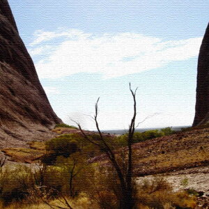 r̕iʐ^gCeApl MTCYi30cm×30cmj EH[A[g Ǌ|  k _  rO j Vzj ڎ  Q JXj