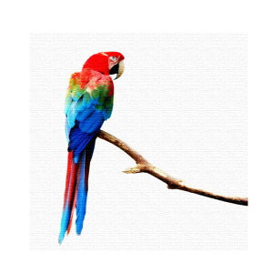 Ǌ|CeAɃt@ubNpl/CR MTCYi30cm×30cmj EH[A[g Ǌ|  k _ Vzj JXj j   Q rO ڎ