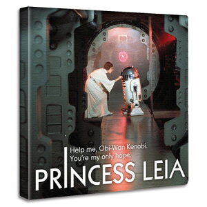 yX^[EH[YzuvZXECAvX^[EH[Ỹt@ubN{[h CeA@A[g@G EH[A[g Ǌ|  k _  JXj  j 