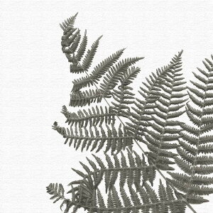 yA[gfzÃA[gpl CeA G A[g Vv_ MTCYi30cm×30cmj EH[A[g Ǌ|  k _ Vzj JXj j   Q 