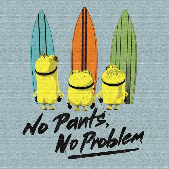 楽天市場 アートデリ ミニオンのファブリックボード インテリア 雑貨 アート グルー ミニオンズ Mサイズ 30cm 30cm ウォールアート 壁掛け おしゃれ 北欧 モダン 新築祝い 開店祝い 結婚祝い お洒落 玄関 寝室 リビング 応接室 ベッド 家具通販furniture Store