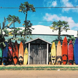 yA[gfzT[t{[h̃t@ubNpl CeAG LoX MTCYi30cm×30cmj EH[A[g Ǌ|  k _ Vzj JXj j   Q